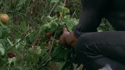 How'd you put his shoulder back before? - The Walking Dead