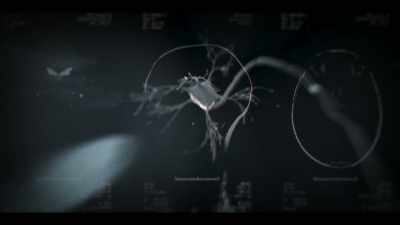 However, we know,
from decades of research, - Surviving Death