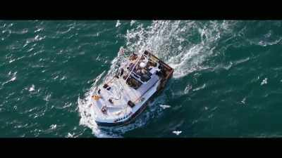 However, shark scientists
everywhere around the world, - Envoy: Shark Cull