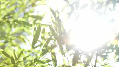 However, as the ancient
Greeks first said, - The Way of Miracles