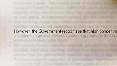 However, the government
recognizes that high concentrations - Pignorant