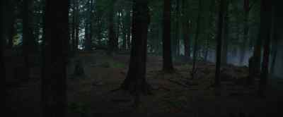 (Howl echoing) - Wolf Man