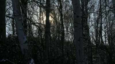 [howling, dogs barking]. - Life Below Zero: Next Generation