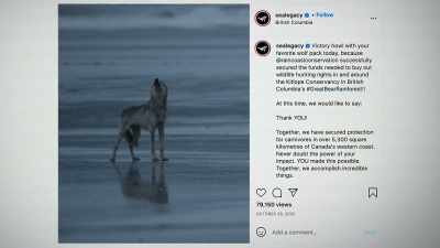 [howling] - Photographer