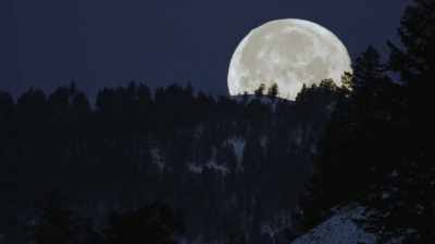 [howling] - Epic Yellowstone
