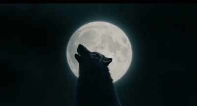 (howling) - Strange Angel