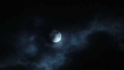 [ HOWLING ] - Strange Evidence