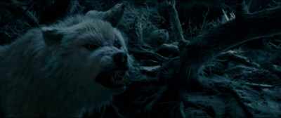 (HOWLING) - Beauty and the Beast