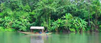 How's Dev?
- Good - Junglee