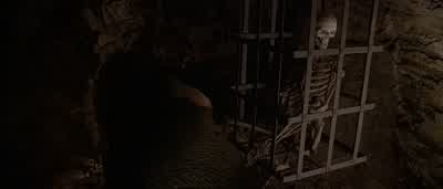 How's it hanging? - Hostel