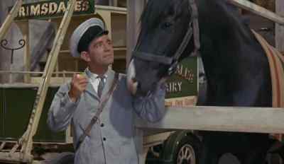 How's my lovely Nellie this morning? - The Early Bird