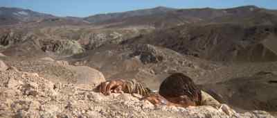 'How's Mom? ' - Capricorn One