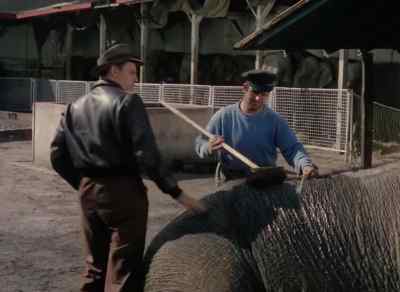 - How's myrtle?
- Stomach. - The Greatest Show on Earth
