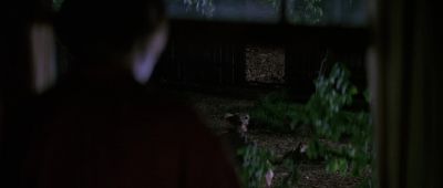 Huck Hey huck - Tom and Huck