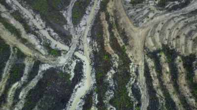 Huge areas were initially stripped
for timber, - Seven Worlds, One Planet