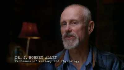Hugh Newman
is an English author - The Alaska Triangle