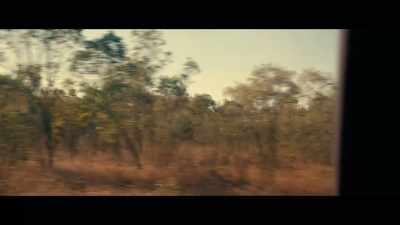 HUGO: Dear Andy, - Population 11