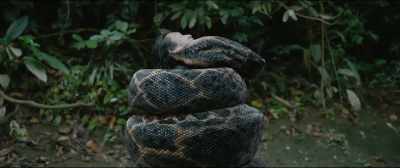 - Huh?
- For the illegal dumping - Anaconda
