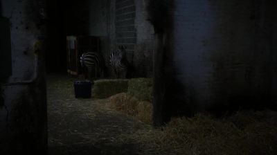 Huh. - Elementary