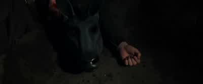 Huh, that is a donkey. - London Calling
