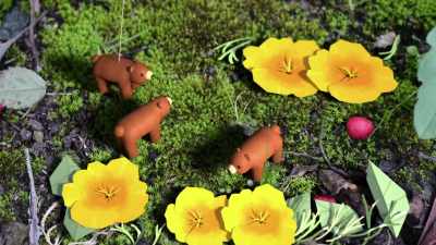 - Huhuunar, grizzly bears…
- [gentle string music plays] - City of Ghosts