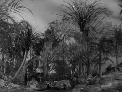 Human elements still roam
planet Earth! - Robot Monster