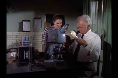 Human hair. - Barnaby Jones