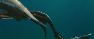 Human indifference is surely the ocean's greatest threat - Oceans