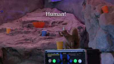 Human! Run for it! - The Thundermans Return
