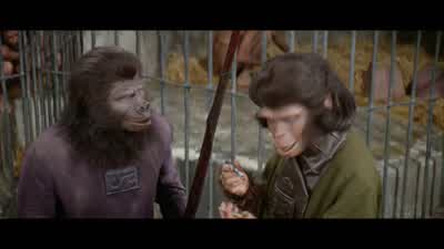 You know what they say Human see human do - Planet of the Apes