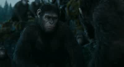 Human work. - Dawn of the Planet of the Apes