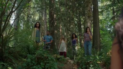 Humans bring food. - Siren