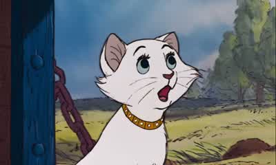 Well humans don't really worry too much about their pets - The Aristocats