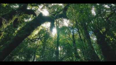 Humans in temperate regions depended on - The History of Home Narrated by Nick Offerman