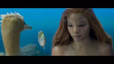 Humans use these babies to style their hairYou just give it a little twirla little yank you might get some pieces with it - The Little Mermaid