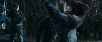 Humans will kill her! - War for the Planet of the Apes