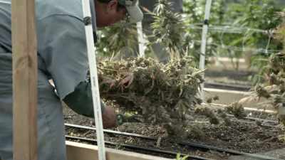 Humboldt County supplies, - Murder Mountain