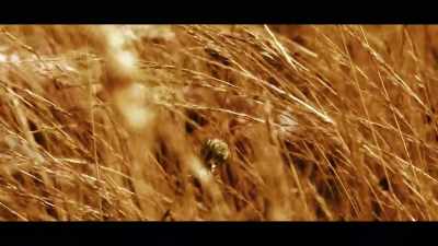 ..Humid conditions would not
have been a very nice sight, would it? - The Real Prime Suspect