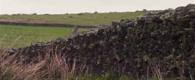[humming[ - Starve Acre