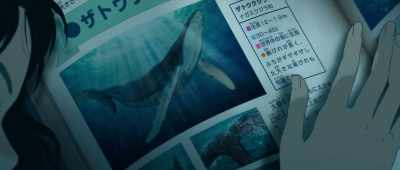 HUMPBACK WHALES - Children of the Sea