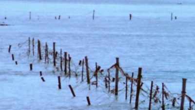 Hundreds of pillboxes, gun
nests, minefields, and bunkers - The Pacific War in Color