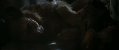Hunger turned men into murderers. - Finch