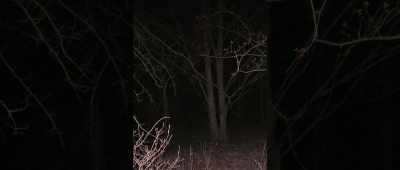 Hunter Bellamy, a Point Pleasantlocal, - The Mothman Legacy