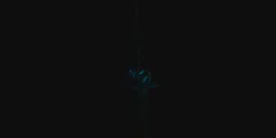 Hunter. - Fall
