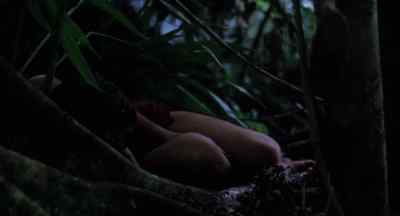HUNTER: Light another one.
We gotta smoke him out. - Lord of the Flies