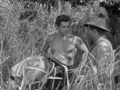 Hunters looking for Tarzan - Tarzan's Hidden Jungle