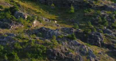 Hunting can bring about
an extreme form of that, - Stars in the Sky: A Hunting Story