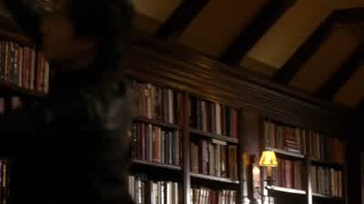 Hunting party? - The Vampire Diaries