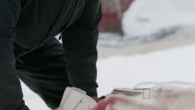 Hunting these animals,
you know, they feed us, - Life Below Zero: First Alaskans