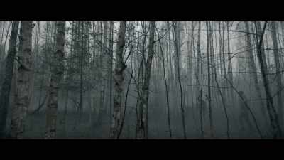 Hunting's in our blood, - Kompromat
